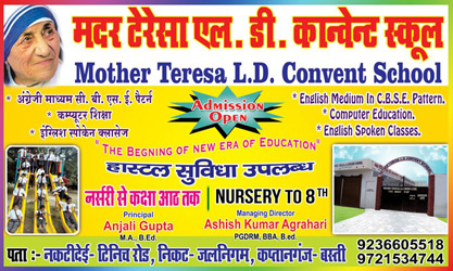 Mother Teresa L D Convent School