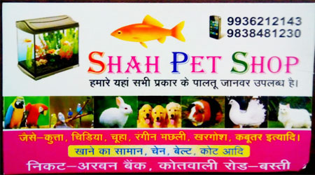 Shah Pet Shop Basti