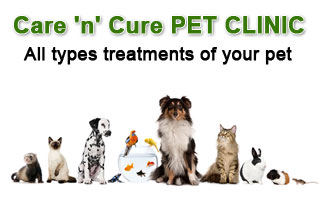 Care 'n' Cure PET CLINIC